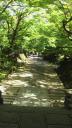 gekyoto1_pics/s20070816_122218.JPG