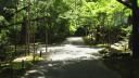 gekyoto1_pics/s20070816_123731.JPG